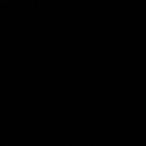 Meet your Posher, Trina